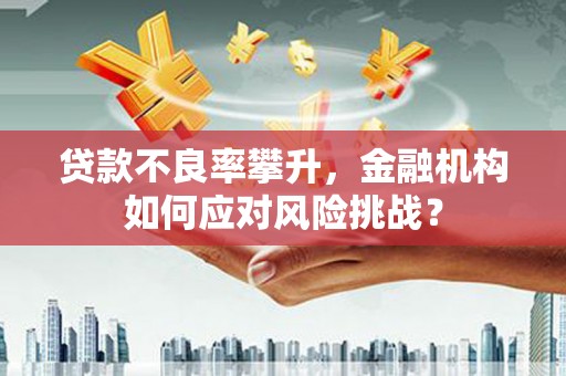 泸溪贷款不良率攀升，金融机构如何应对风险挑战？