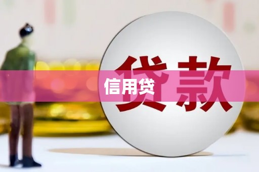 泸溪信用贷