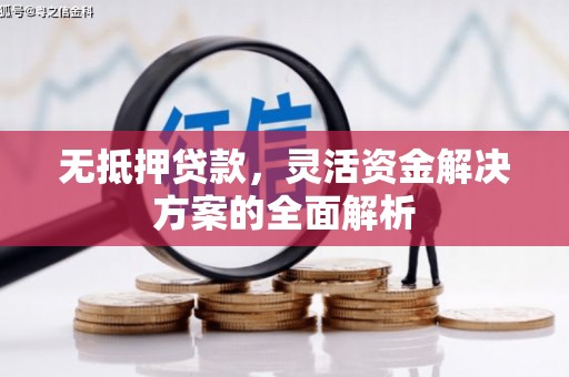 泸溪无抵押贷款，灵活资金解决方案的全面解析