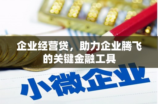 泸溪企业经营贷，助力企业腾飞的关键金融工具