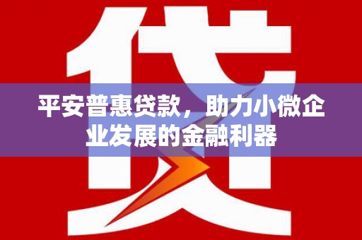 泸溪平安普惠贷款，助力小微企业发展的金融利器