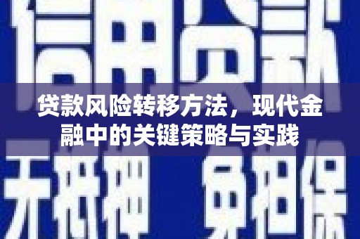 泸溪贷款风险转移方法，现代金融中的关键策略与实践