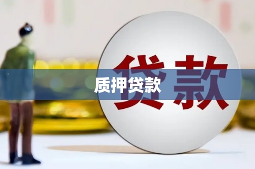 泸溪质押贷款