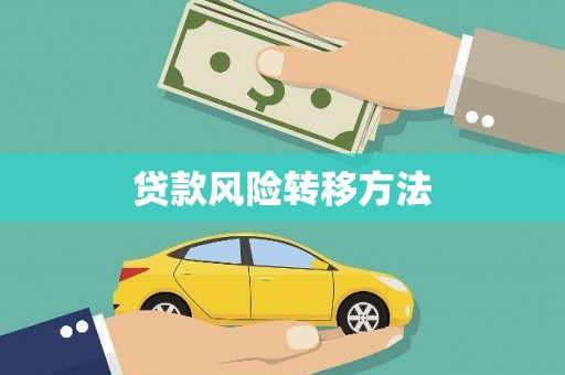 泸溪贷款风险转移方法