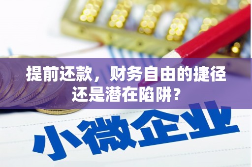 泸溪提前还款，财务自由的捷径还是潜在陷阱？