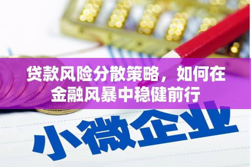 泸溪贷款风险分散策略，如何在金融风暴中稳健前行