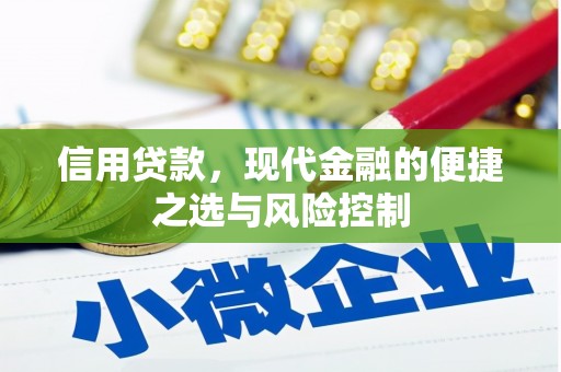 泸溪信用贷款，现代金融的便捷之选与风险控制