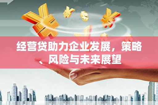 泸溪经营贷助力企业发展，策略、风险与未来展望