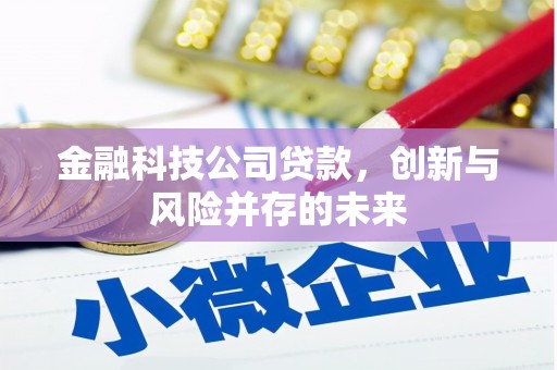 泸溪金融科技公司贷款，创新与风险并存的未来
