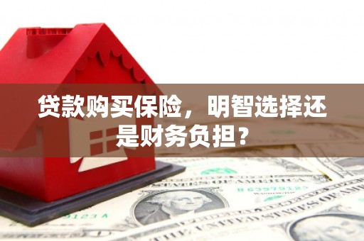 泸溪贷款购买保险，明智选择还是财务负担？