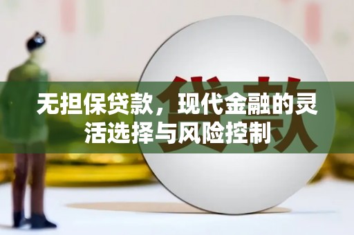 泸溪无担保贷款，现代金融的灵活选择与风险控制