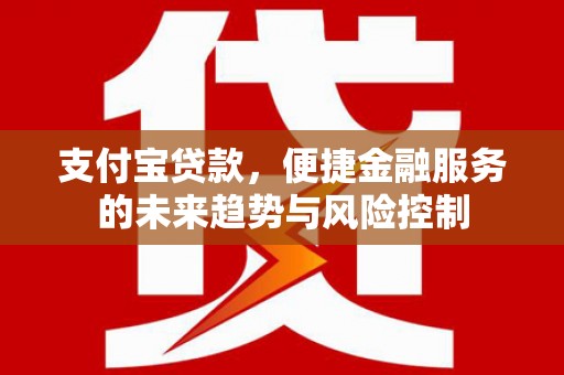 泸溪支付宝贷款，便捷金融服务的未来趋势与风险控制