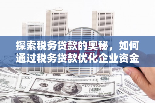 泸溪探索税务贷款的奥秘，如何通过税务贷款优化企业资金流