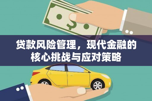 泸溪贷款风险管理，现代金融的核心挑战与应对策略