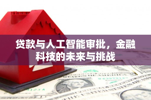 泸溪贷款与人工智能审批，金融科技的未来与挑战