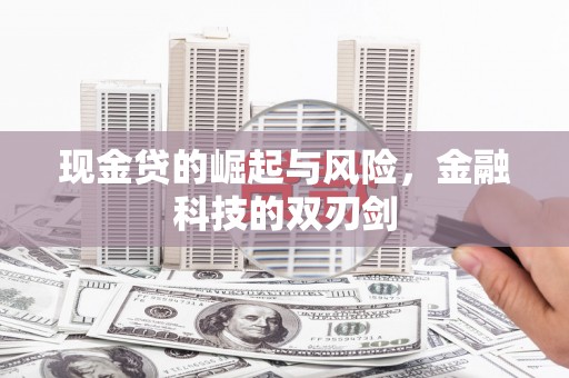 泸溪现金贷的崛起与风险，金融科技的双刃剑