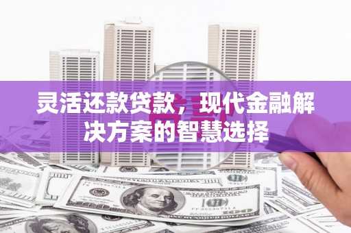 泸溪灵活还款贷款，现代金融解决方案的智慧选择