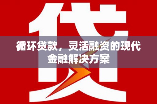 泸溪循环贷款，灵活融资的现代金融解决方案