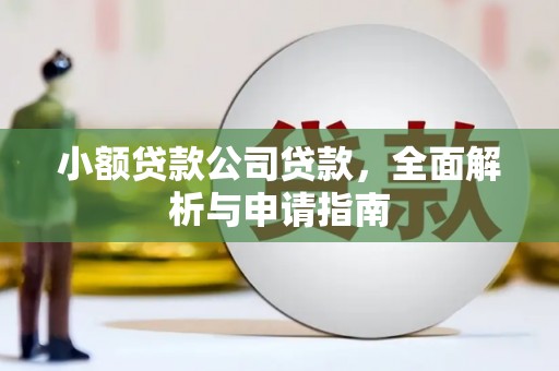 泸溪小额贷款公司贷款，全面解析与申请指南