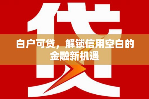 泸溪白户可贷，解锁信用空白的金融新机遇
