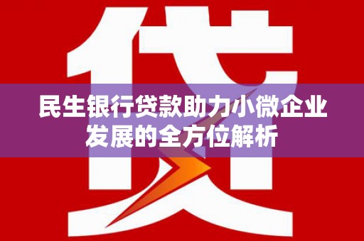 泸溪民生银行贷款助力小微企业发展的全方位解析