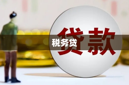 泸溪税务贷