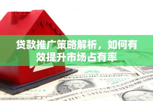 泸溪贷款推广策略解析，如何有效提升市场占有率