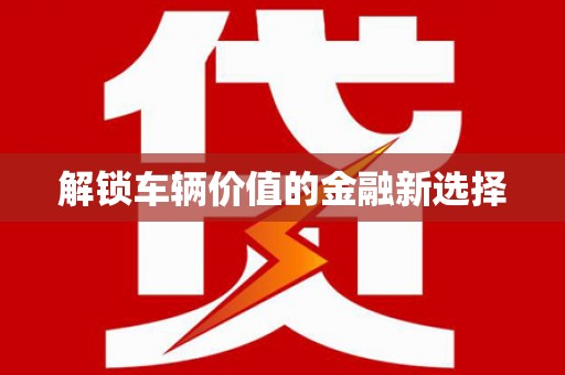 泸溪解锁车辆价值的金融新选择