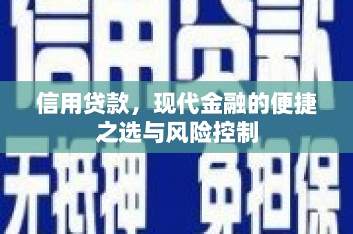 泸溪信用贷款，现代金融的便捷之选与风险控制