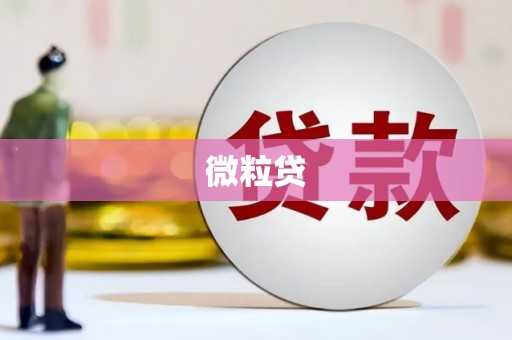 泸溪微粒贷