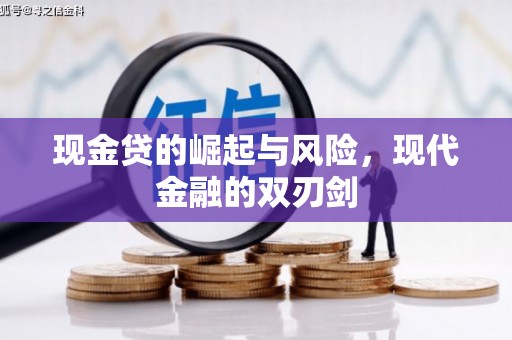 泸溪现金贷的崛起与风险，现代金融的双刃剑