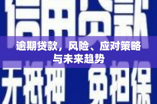 泸溪逾期贷款，风险、应对策略与未来趋势