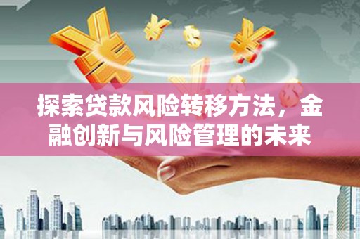 泸溪探索贷款风险转移方法，金融创新与风险管理的未来