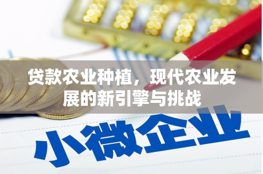 泸溪贷款农业种植，现代农业发展的新引擎与挑战