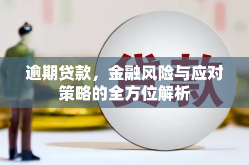泸溪逾期贷款，金融风险与应对策略的全方位解析