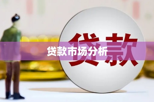 泸溪贷款市场分析