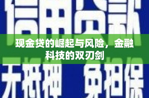 泸溪现金贷的崛起与风险，金融科技的双刃剑