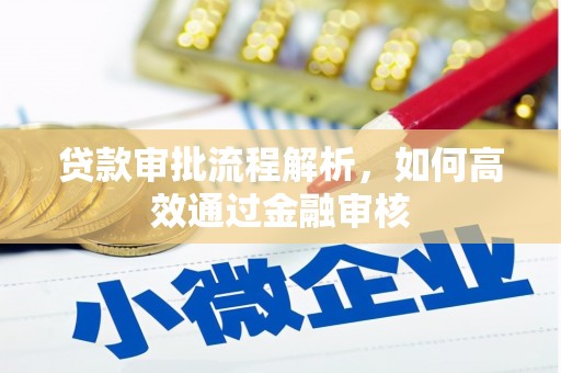 泸溪贷款审批流程解析，如何高效通过金融审核