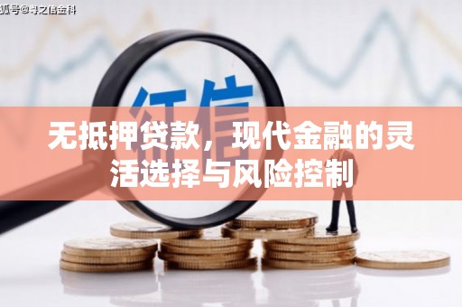 泸溪无抵押贷款，现代金融的灵活选择与风险控制