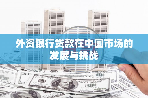 泸溪外资银行贷款在中国市场的发展与挑战
