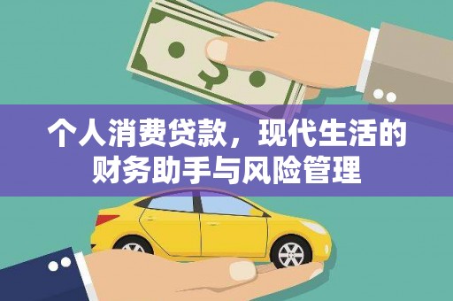 泸溪个人消费贷款，现代生活的财务助手与风险管理