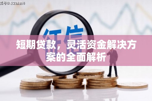 泸溪短期贷款，灵活资金解决方案的全面解析