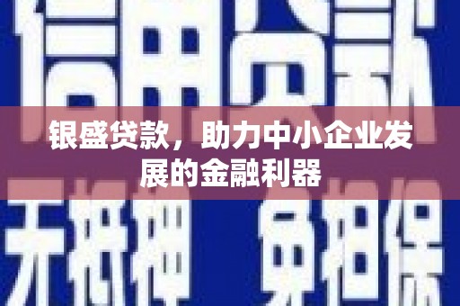 泸溪银盛贷款，助力中小企业发展的金融利器