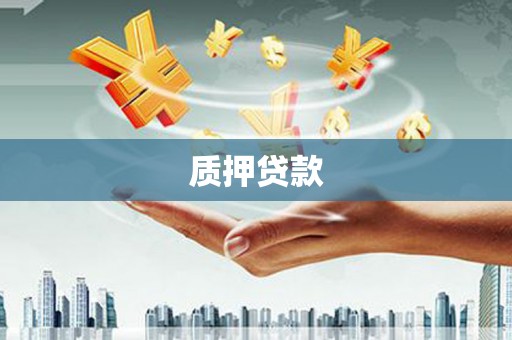 泸溪质押贷款