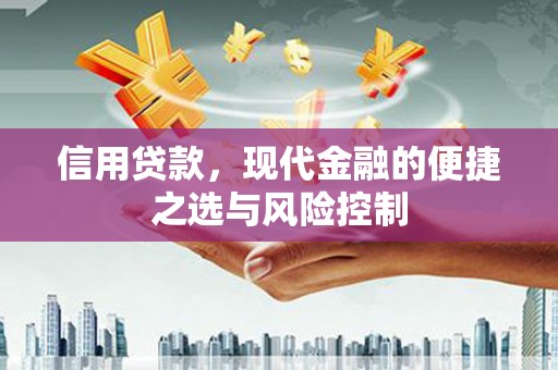 泸溪信用贷款，现代金融的便捷之选与风险控制