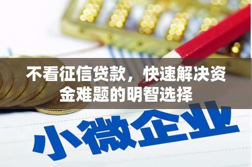泸溪不看征信贷款，快速解决资金难题的明智选择
