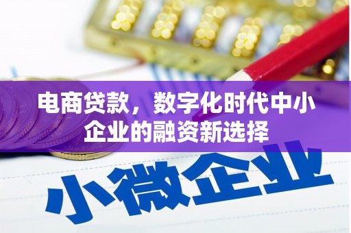 泸溪电商贷款，数字化时代中小企业的融资新选择