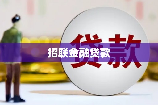 泸溪招联金融贷款