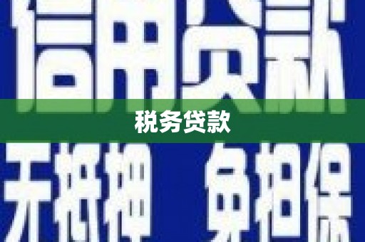泸溪税务贷款