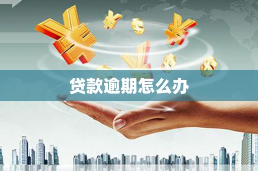 泸溪贷款逾期怎么办